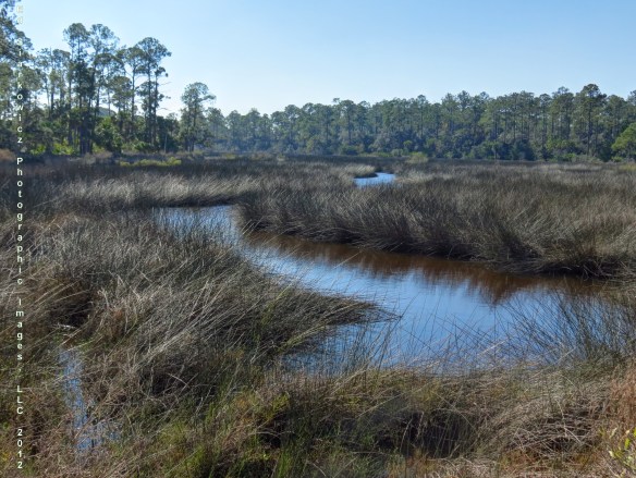 Princess Place Marshes